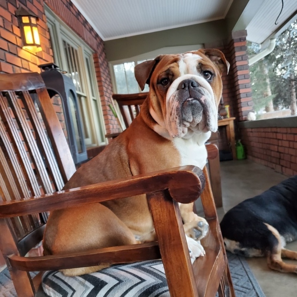 Meet your Posher, Kimberly